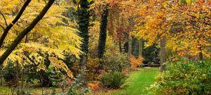 Autumn colours at Highgrove Garden.jpg